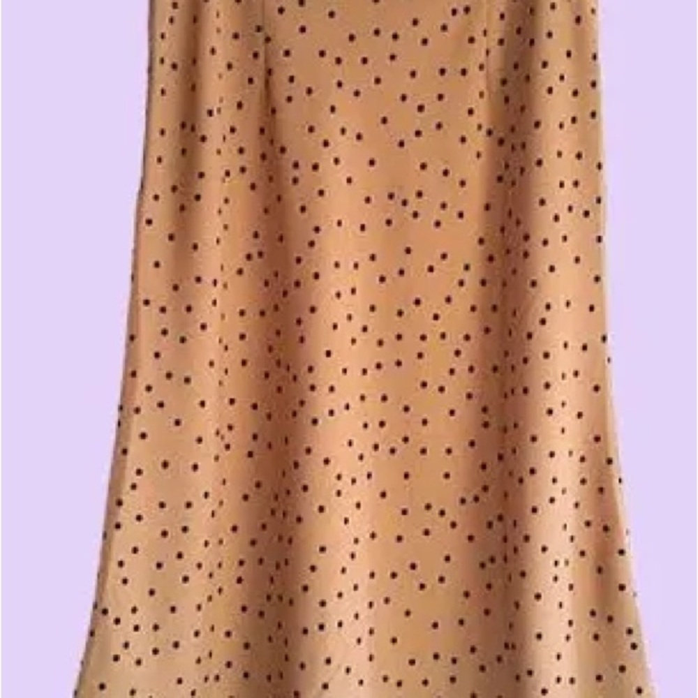 Rachel Zoe NWT Polka Dot Tan Midi Skirt